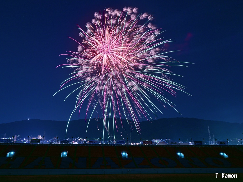 花園ラグビー場で花火を⑧