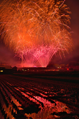 かつらぎ花火大会⑦