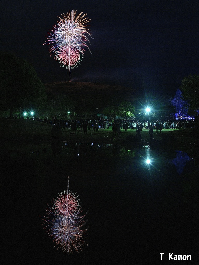 奈良公園139歳のバースデー花火①