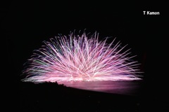 熊野花火⑫海上自爆