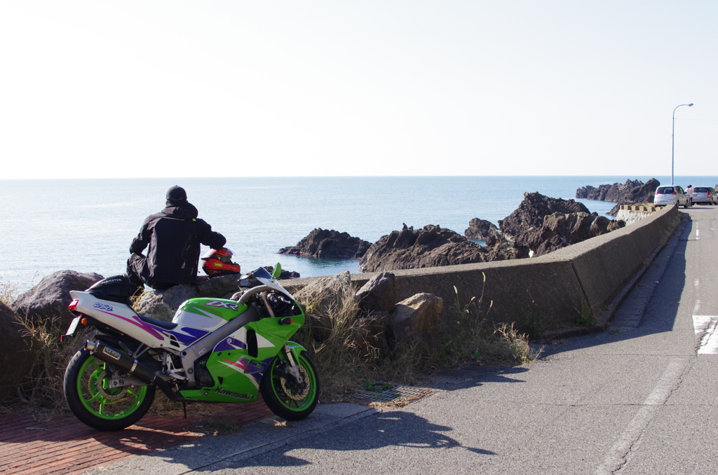 緑・私。道路と海