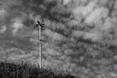 空