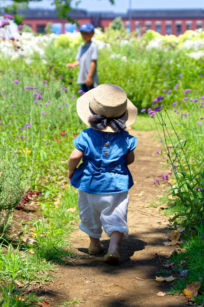 花の小道を