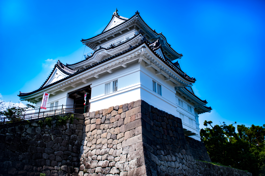 晴天の小田原城
