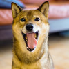 なまあくび