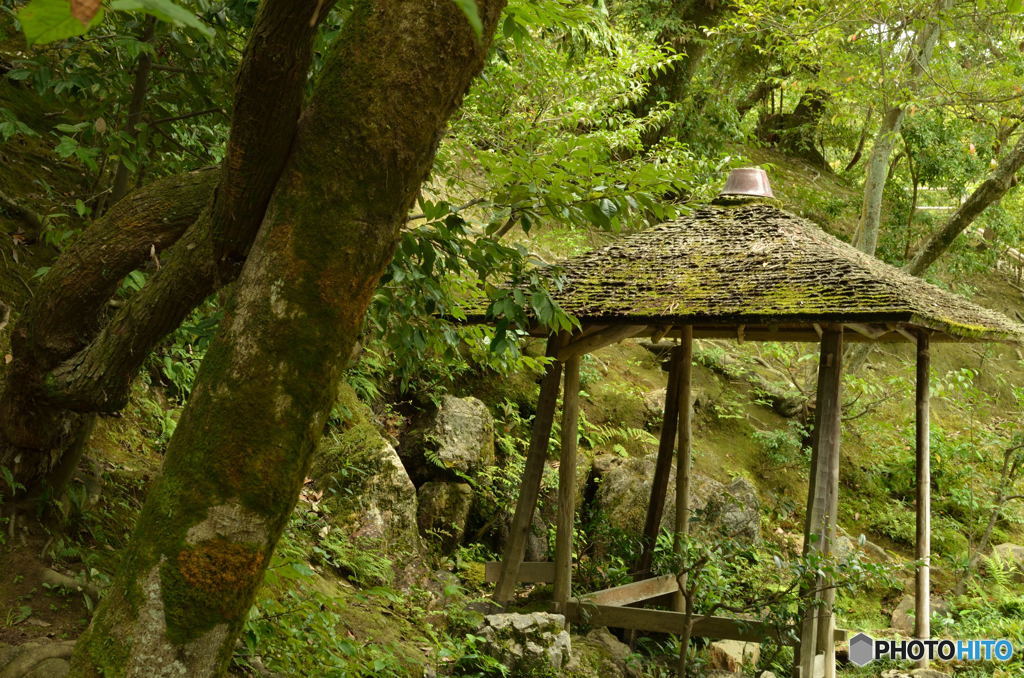 鹿苑寺　厳下水