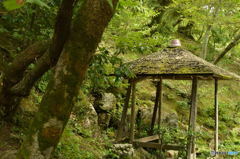 鹿苑寺　厳下水