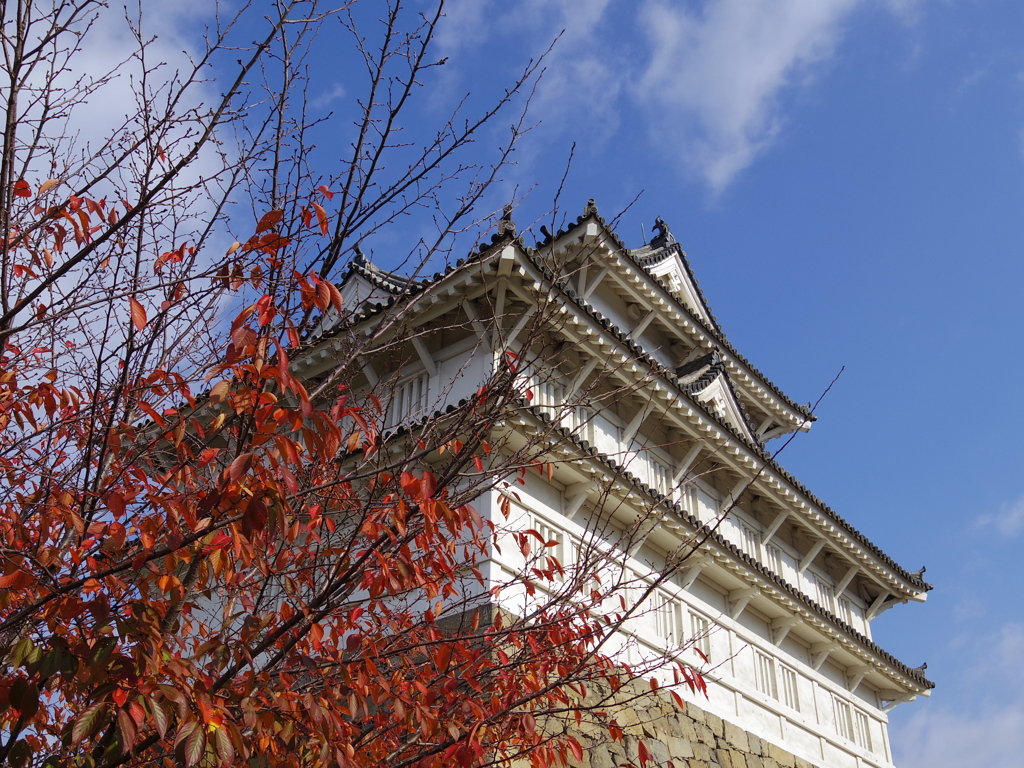 城・空・紅葉