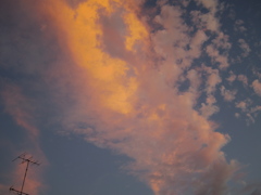夕焼け