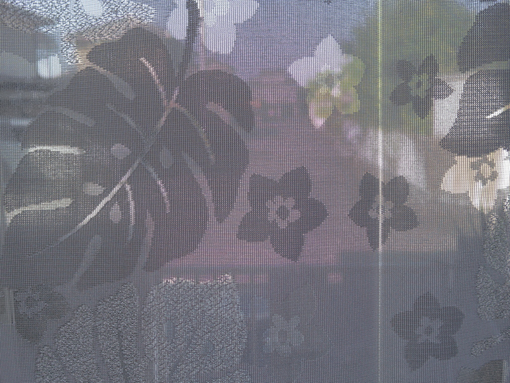 模様