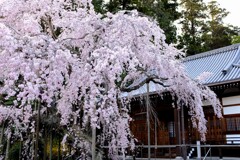 太山寺