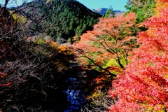 大芦川風景