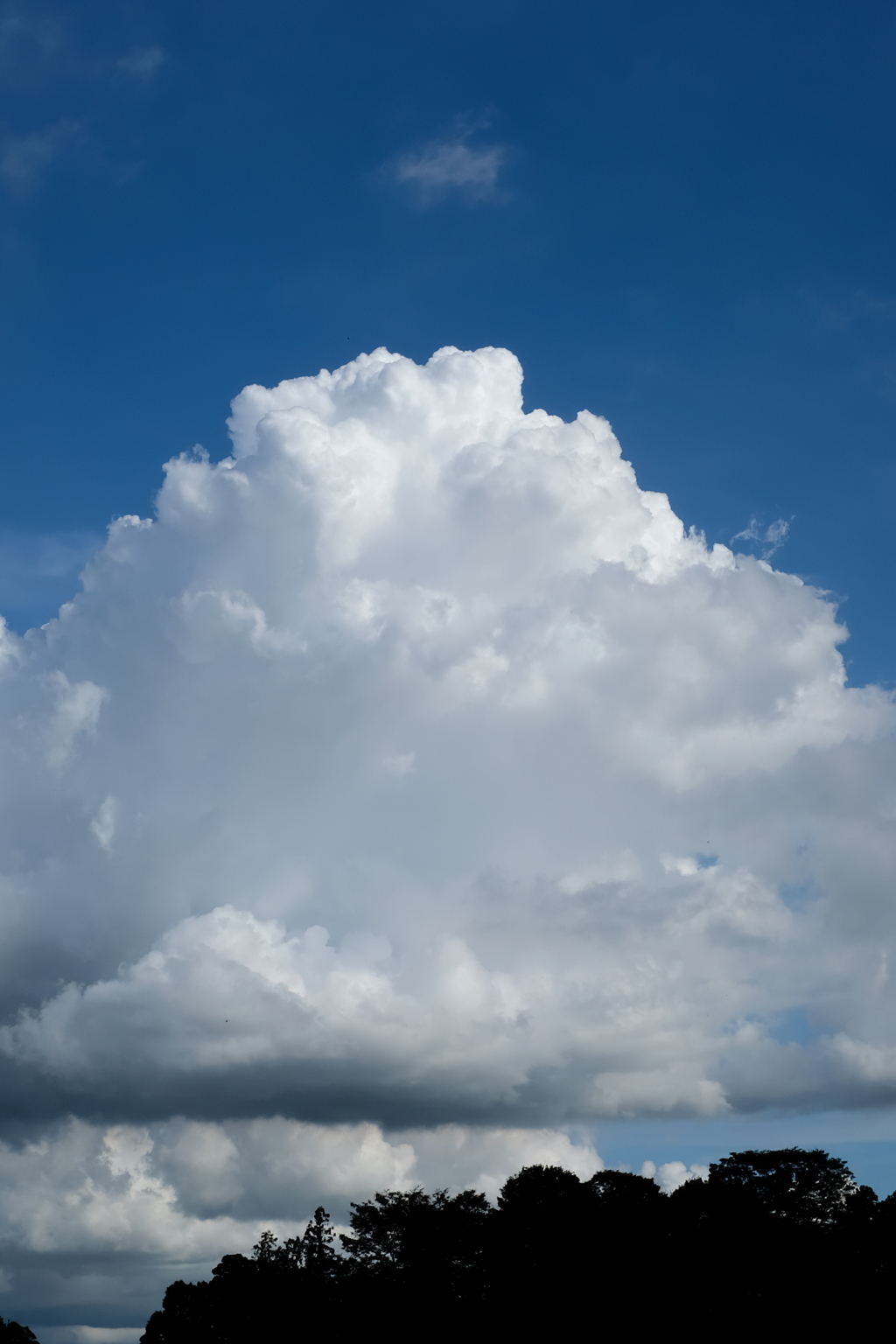 夏 雲