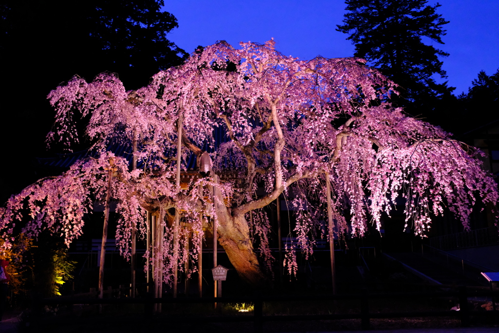 太山寺〜夕刻