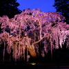 太山寺〜夕刻