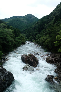 大芦川