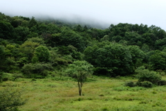 古峯ヶ原高原