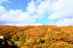 吊り橋からの景観