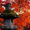 寺院   晩秋