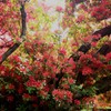 つつじが丘公園4