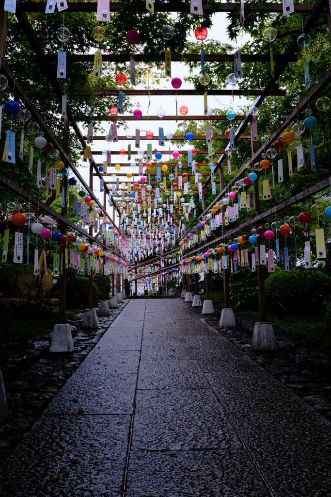 風鈴小路