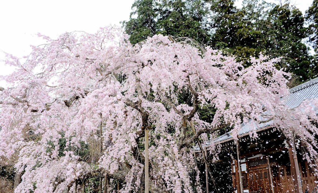 太山寺