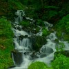強清水の滝
