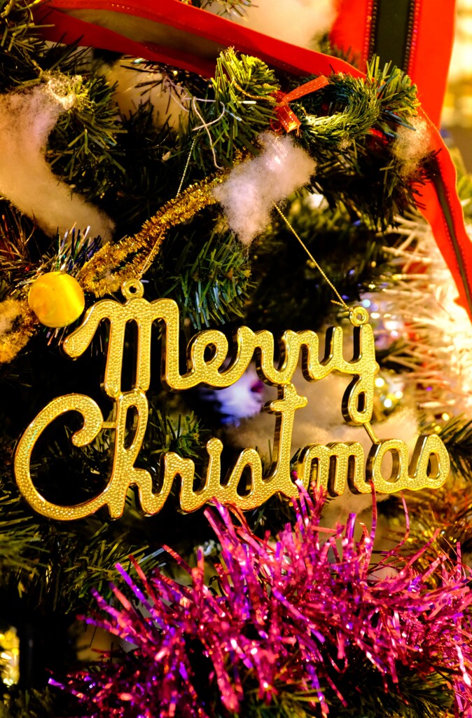 メリー・クリスマス