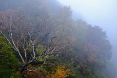 山間の  雨