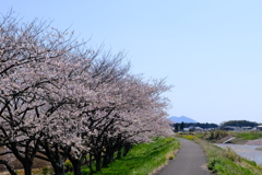 河川敷