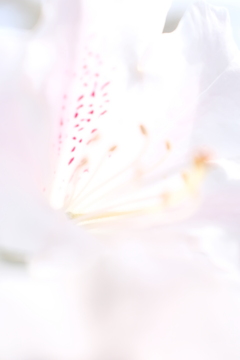 痣