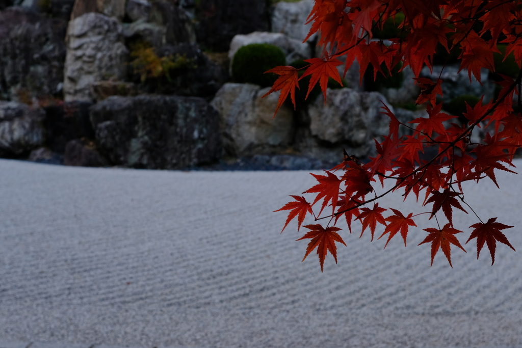庭園