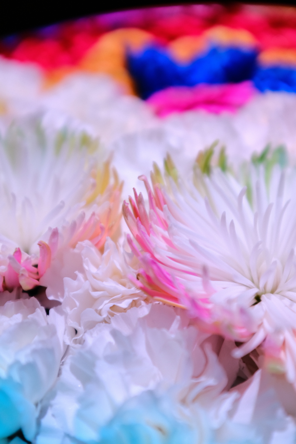 花手水5