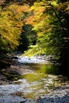 大芦渓谷 白井平橋 2