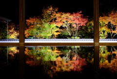 床紅葉