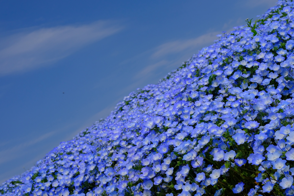 blues