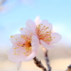 春近し 2