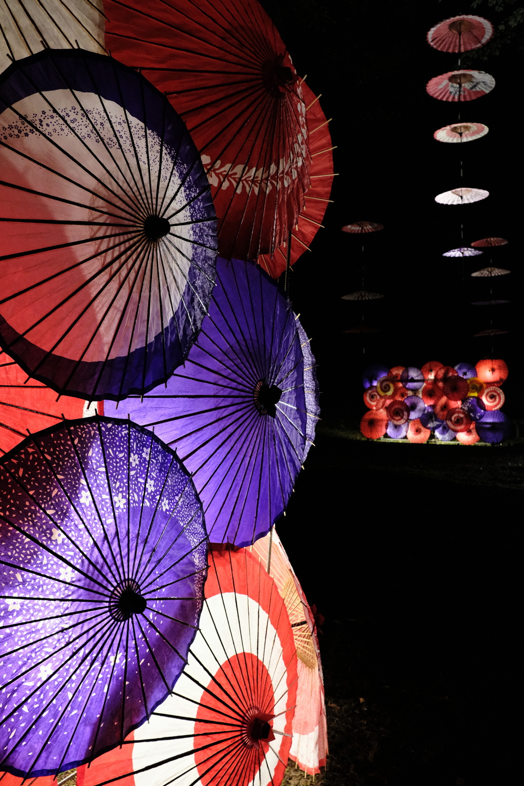 月あかり花回廊4 By らいさん Id 写真共有サイト Photohito