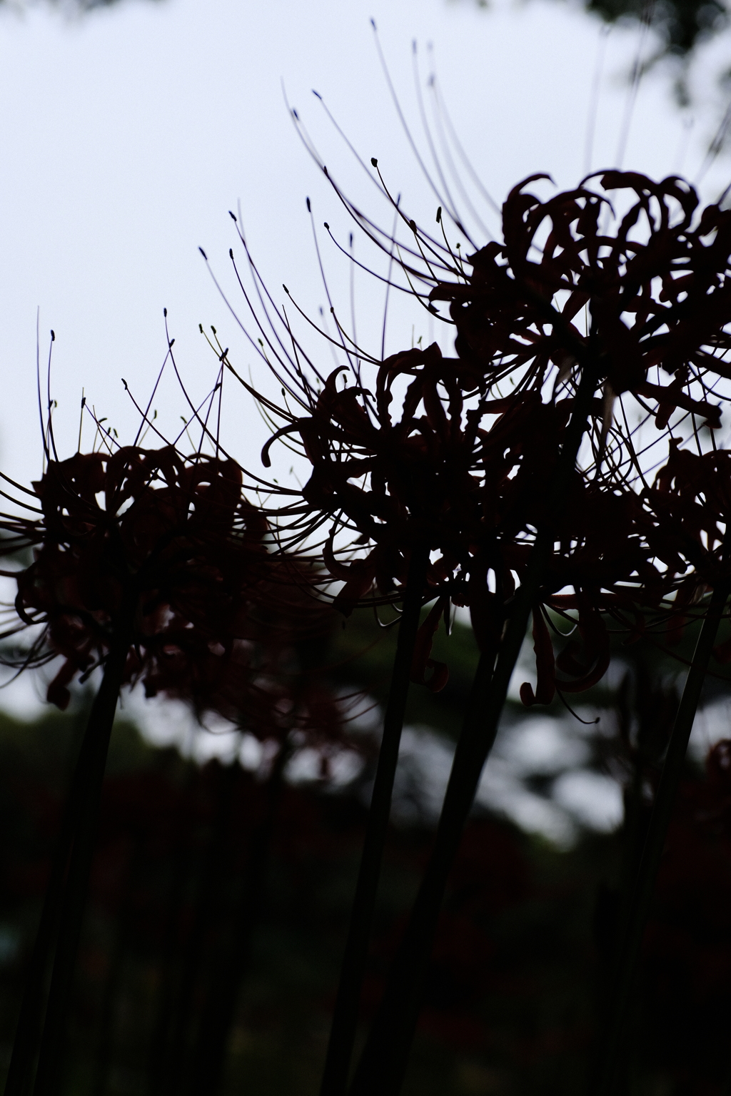 under