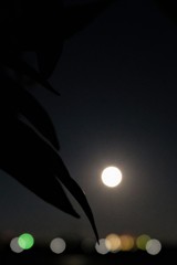 月