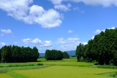 田園