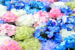 COLORS