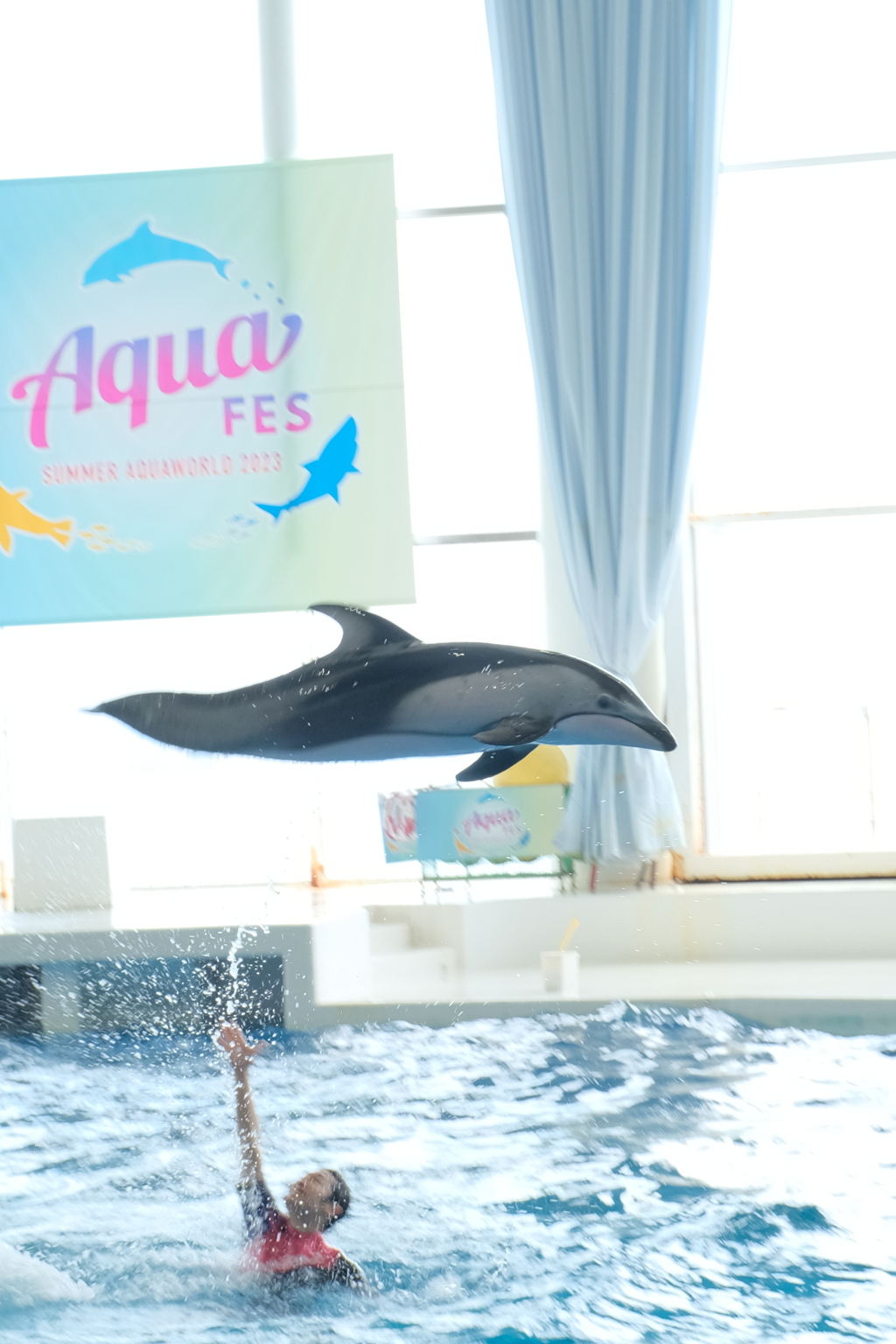 飛ぶ