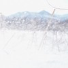 雪嵐
