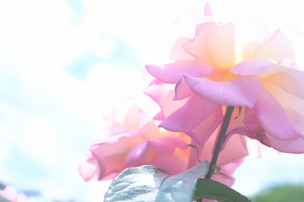 peaceful
