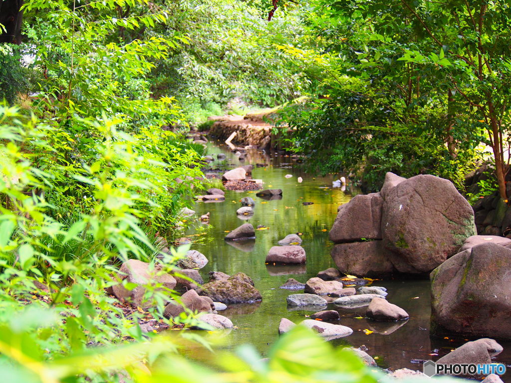 井の頭公園 夏の終わり
