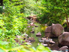 井の頭公園 夏の終わり