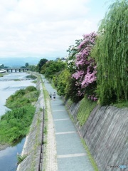 盛夏