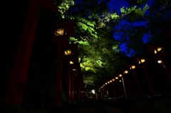 常闇の燈