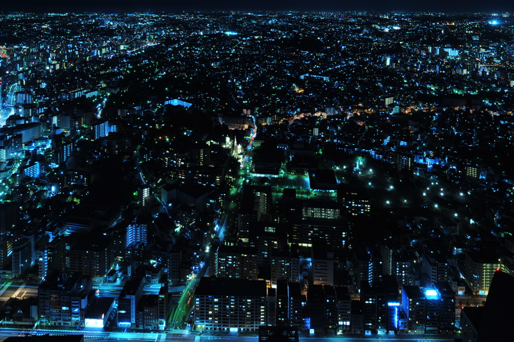 横浜の夜景
